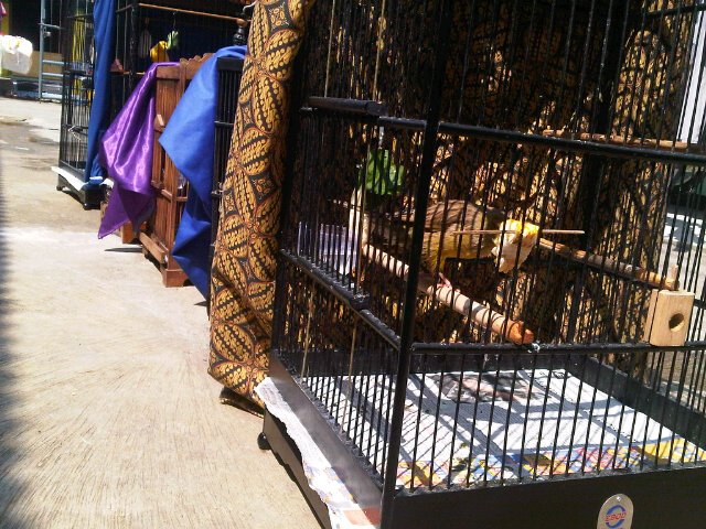 420bhang's tweet photo. need sun block #Monster_BuD @ikaTania2 https://t.co/x5w6l8Wlh2