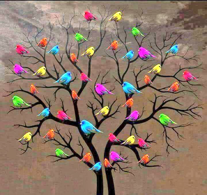 GoswamiSomnath1's tweet image. Good morning @GoswamiSomnath1 @yamigautamfc144 @deepikapadukone @BinaNepram