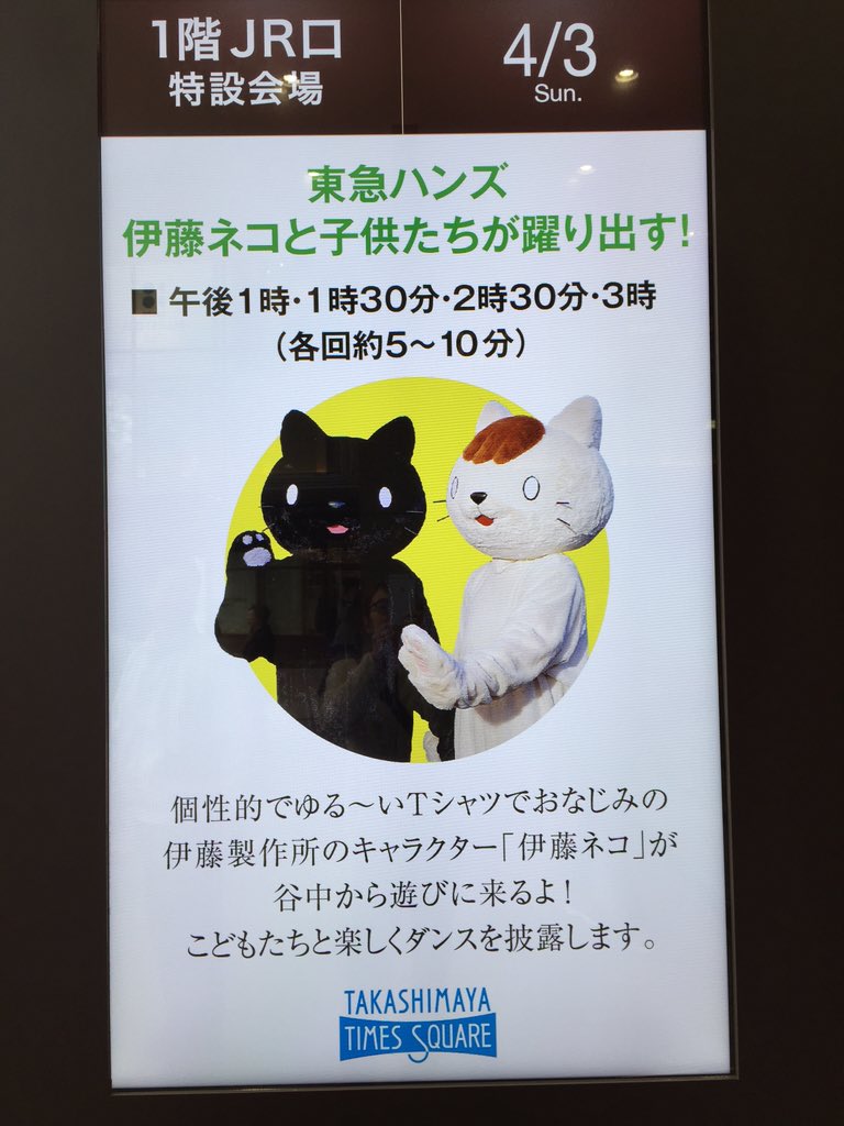 東急ハンズ新宿店 東急ハンズ 伊藤ネコ フラッシュモブいよいよ この後13 00より 東急にゃんず 伊藤ネコ フラッシュモブ よー T Co 70beufp5xg Twitter