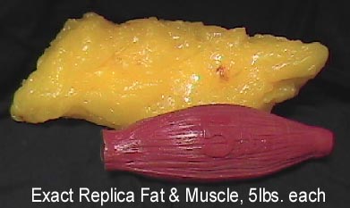 Q&amp;A Wednesday: Why Can't I Just Do Cardio? blackgirlsguidetoweightloss.com/qa-wednesday/q…