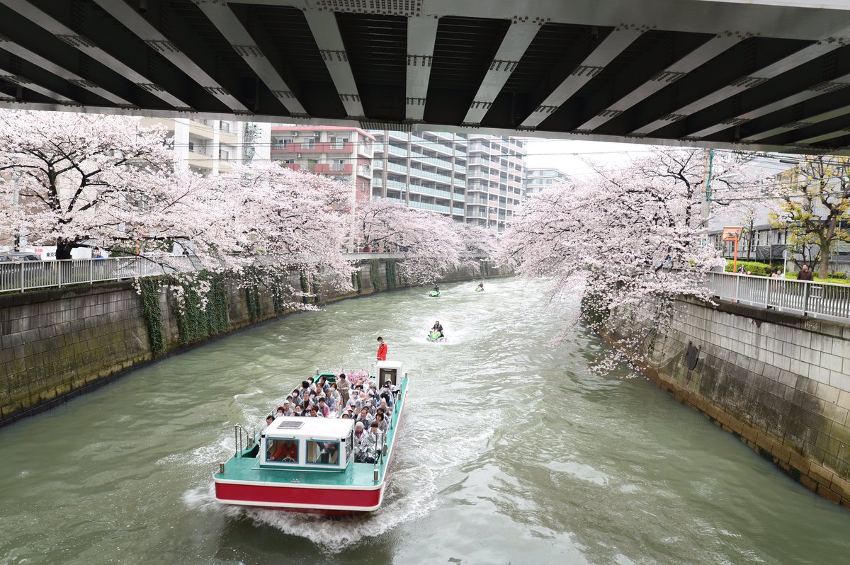 目黒川監視員のつぶやき