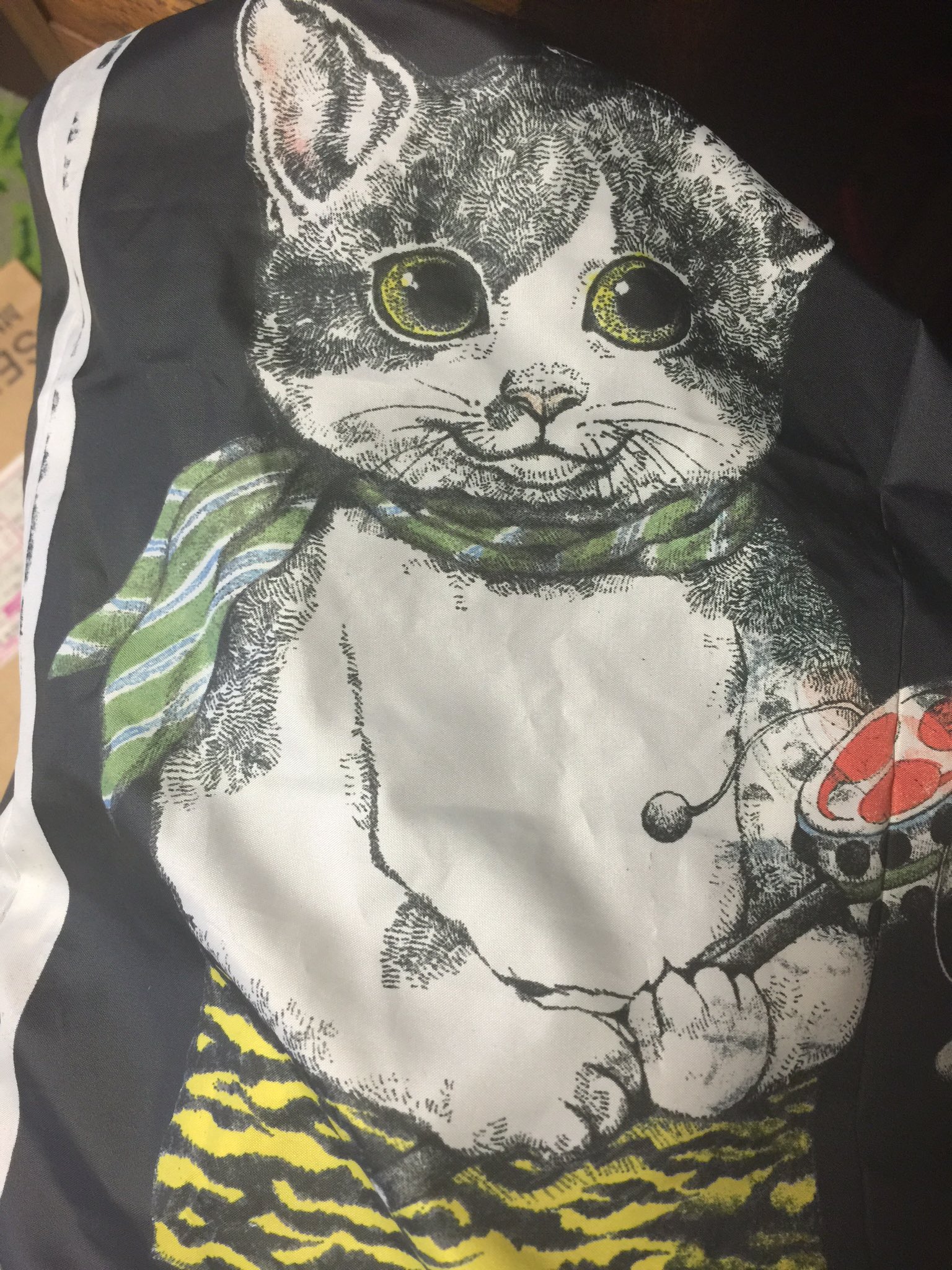 猫屋敷様 ヒグチユウコ GUSTAVE かみなり様傘 ヒグチユウコ】 希少