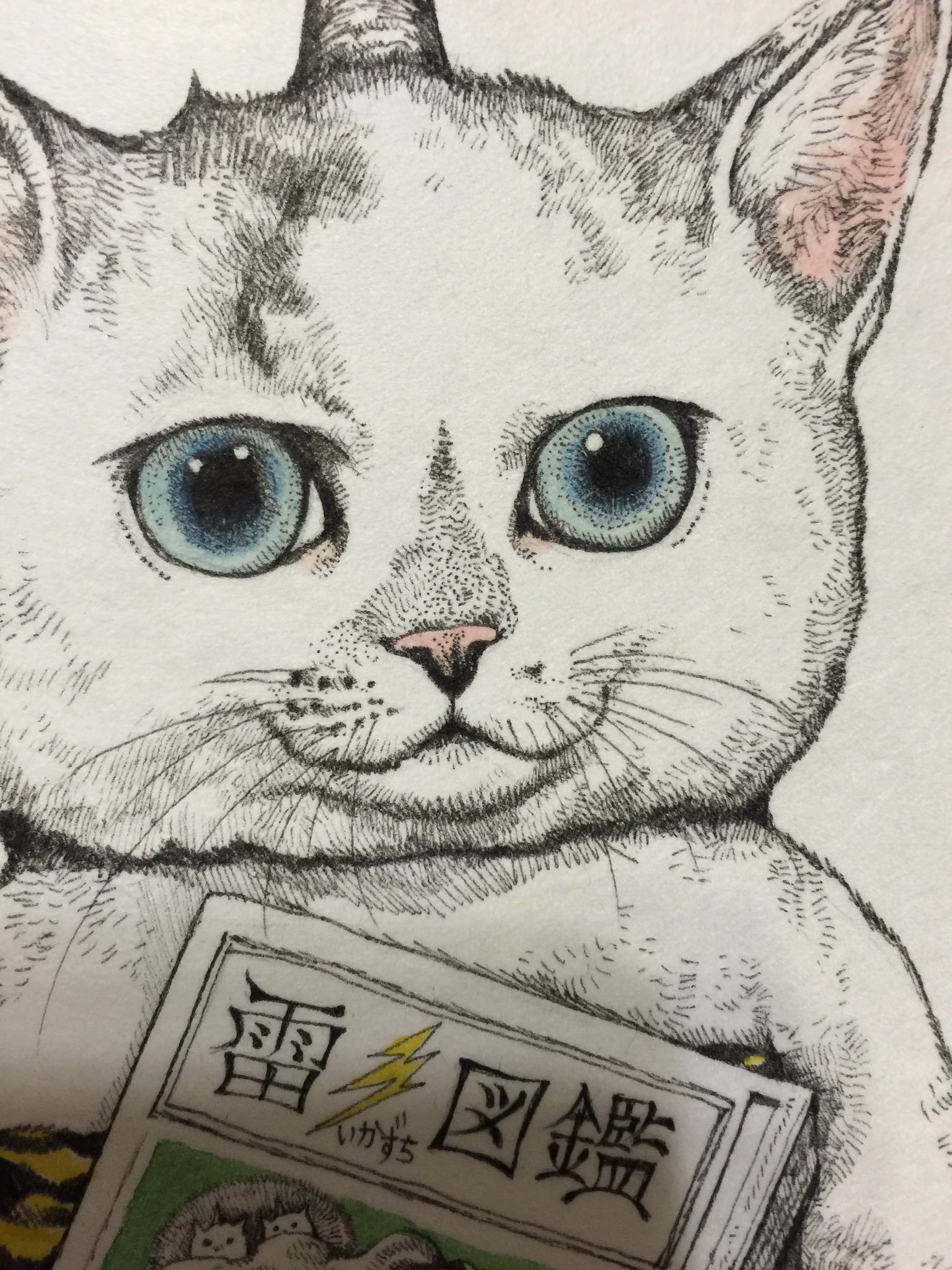 Yuko higuchi ヒグチユウコ على X: 