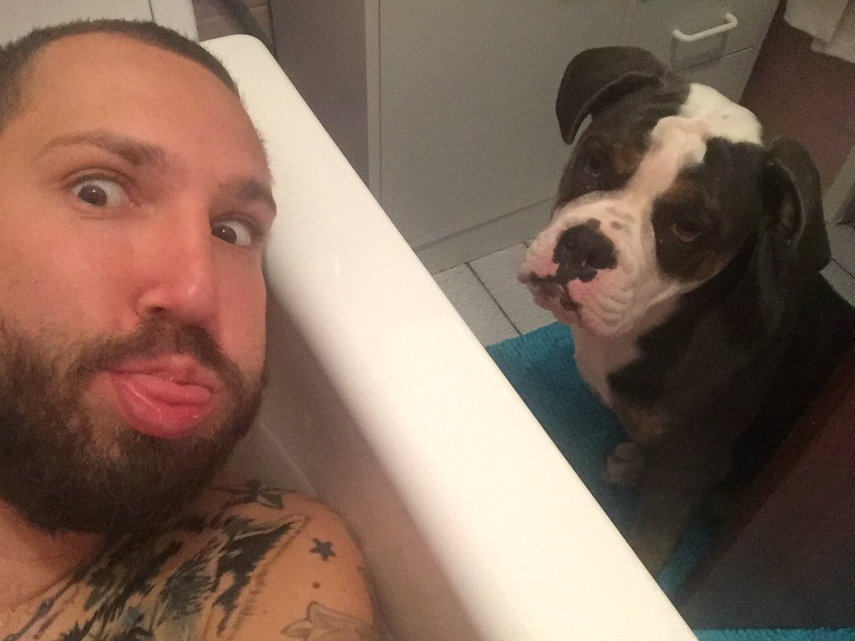 BammBammAngerer's tweet image. Sunday Morning in the Tub! Charlie is jealous‼️ @BammBammAngerer #bathtub #kingcharlesdarwin #kingofthewolves