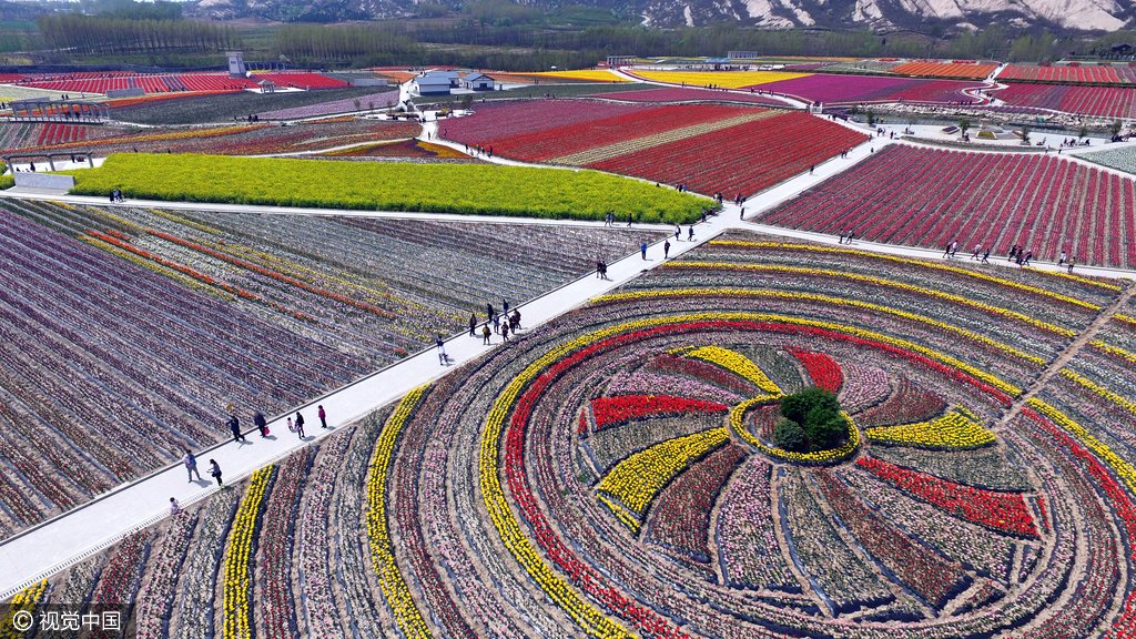 Tulip_festival's tweet photo. RT @cctvnews An aerial view of tulips in full bloom in Zhumadian city, central China’s Henan province https://t.co/tVrdEcYWdr