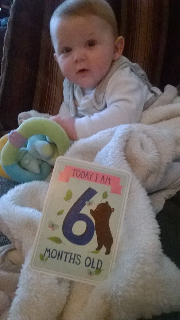 andreamcboop's tweet photo. Little Freddy Bear - 6 months today ❤❤❤ xx https://t.co/n6QYKwifW0