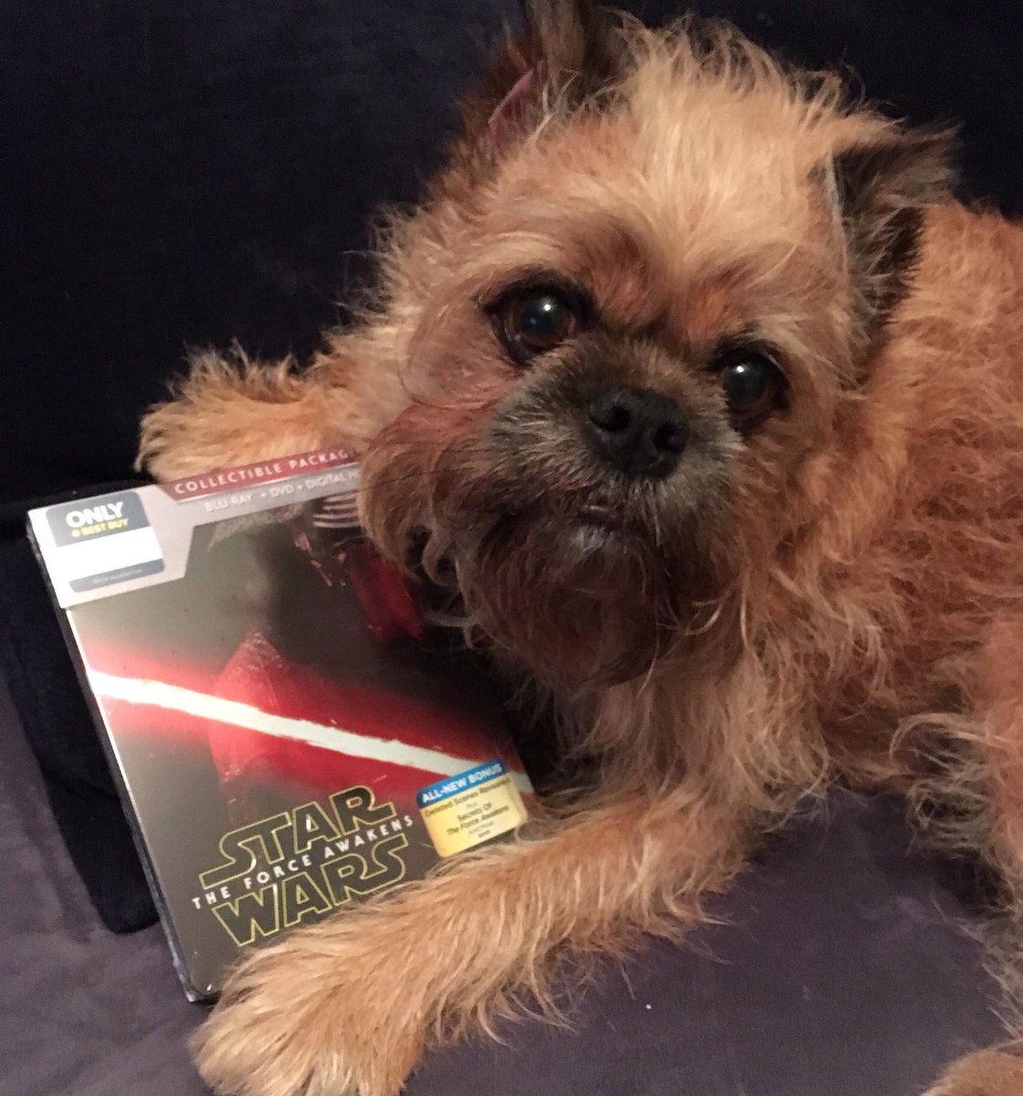 Max_B_Griffon's tweet photo. #starwars #theforceawakens #bluray 

Dad had me watch this tonight.  Loved it. https://t.co/QjGSs0q63i