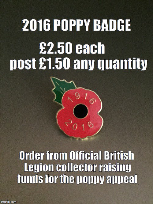 Every day is remembrance day - A poppy is not just for November 2016 Badge RBL collector - ebay.co.uk/itm/3220376650…
