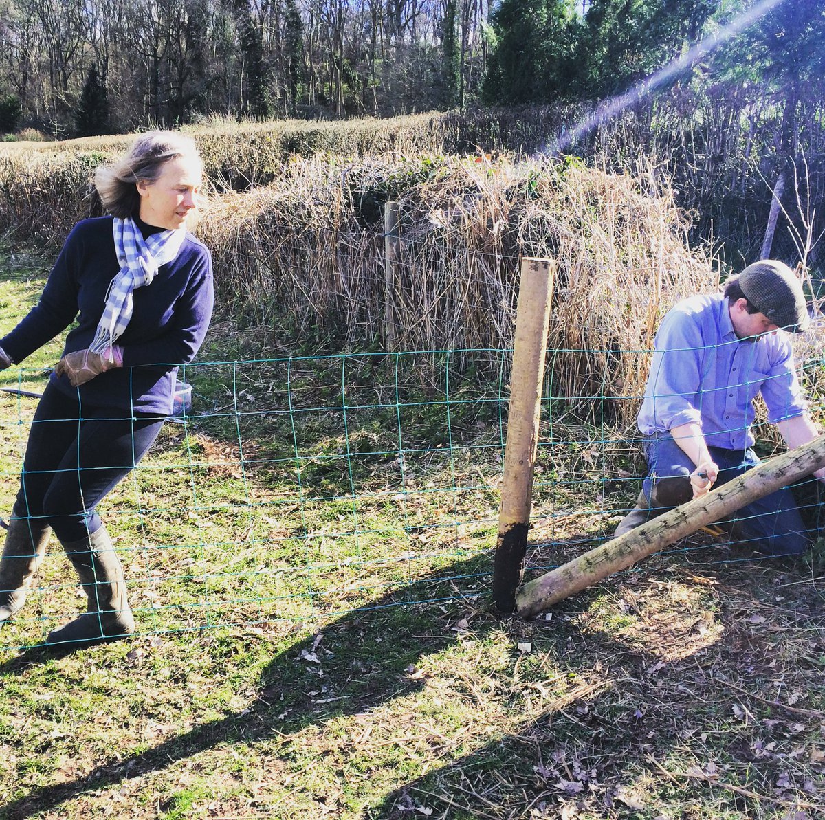 hancocks_meadow's tweet photo. Extream Fencers #noescaping https://t.co/FYdMjLMUzR