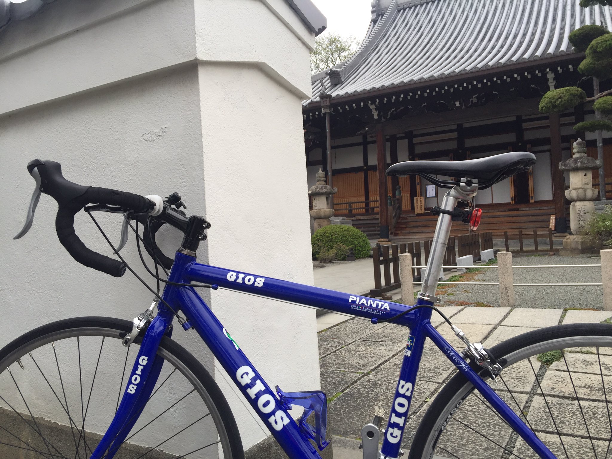 GIOS ロードバイク PIANTA GIOS（ジオス） 2019年モデル AMPIO （アンピーオ）CLARIS