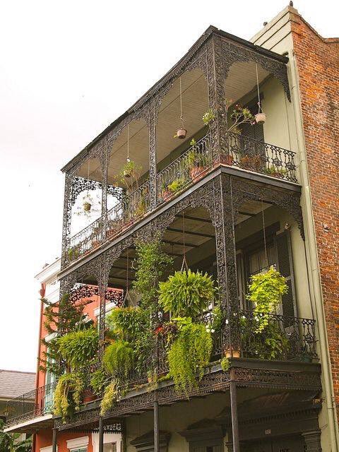 #New Orleans fiori e piante appesi su un tipico balcone del  quartiere francese by balconism