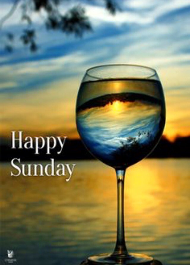 SteveKubota's tweet photo. #HappySunday 😎🍷💜 @sorkKari @viciousviking @Ambriel_UK @StreetFoodUK @JackdawE5 @Winemastery @LdnWineBar @DanGod1 https://t.co/5ZhiTCmewK