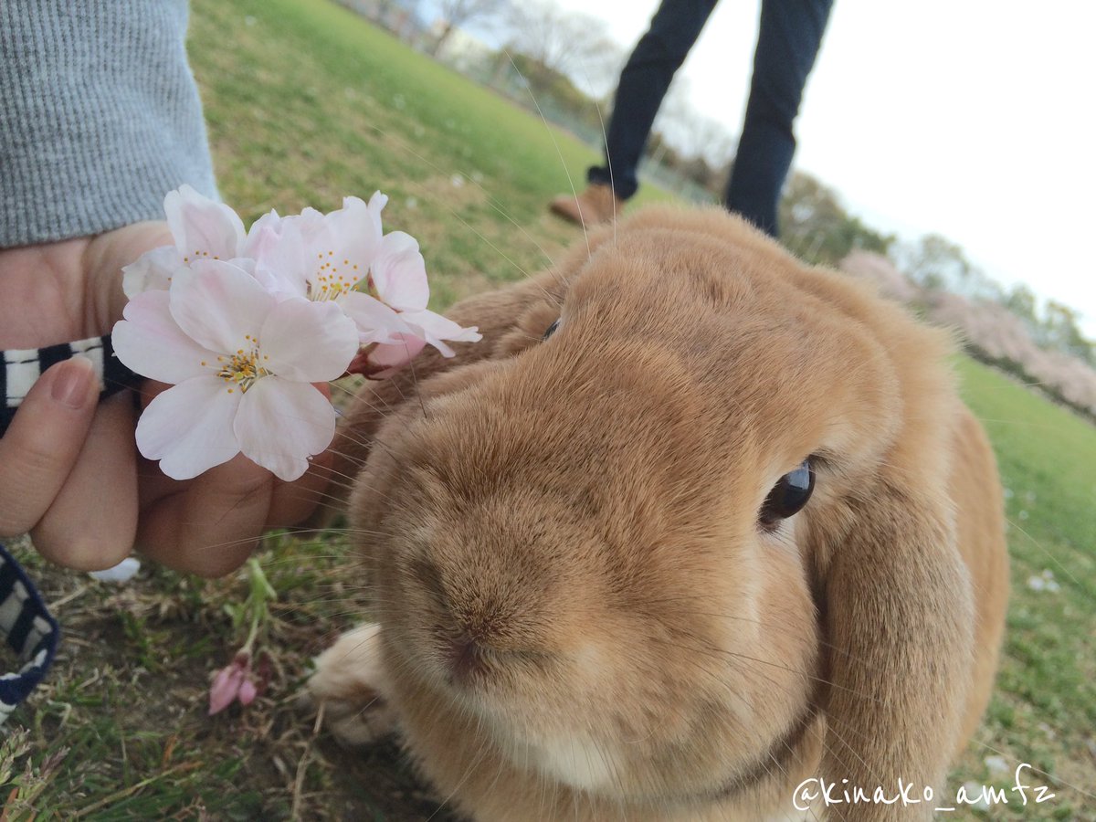 公園にいた子供たちに大人気でした