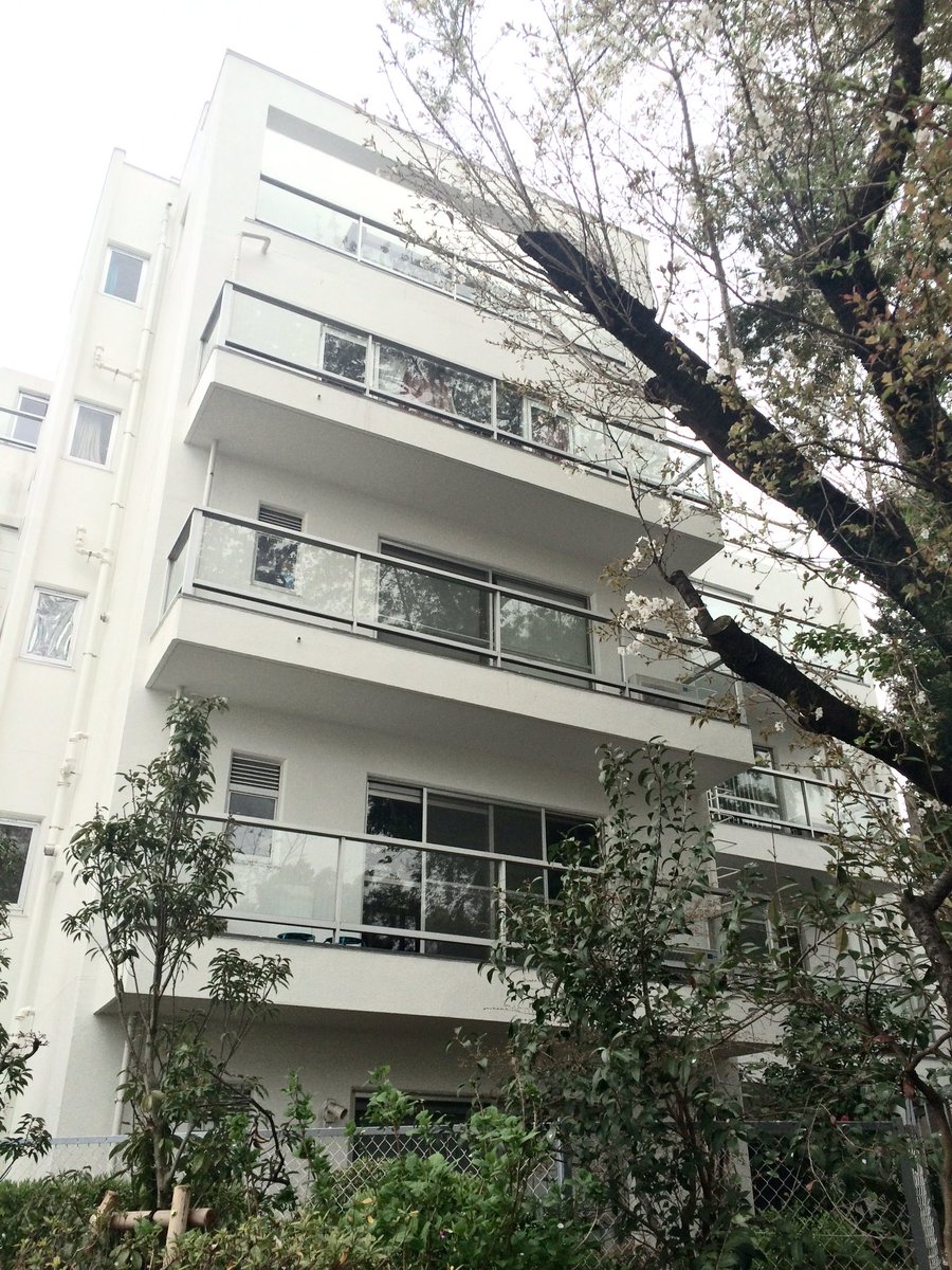 前のオフィス周辺に行って、折れた桜のその後を見にいったら、切れた断面から新しい枝生えてた。 