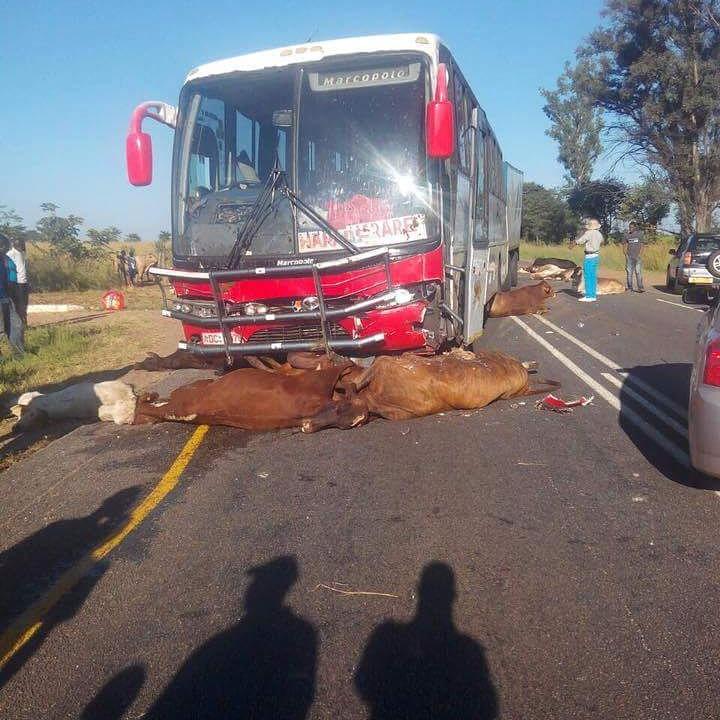 Uma sikhuluma ngemfuyo eyuvanzi sisuke sikhuluma ngento enje..Sibondwe sayekwa kwabekwa iphini ngaphezulu.