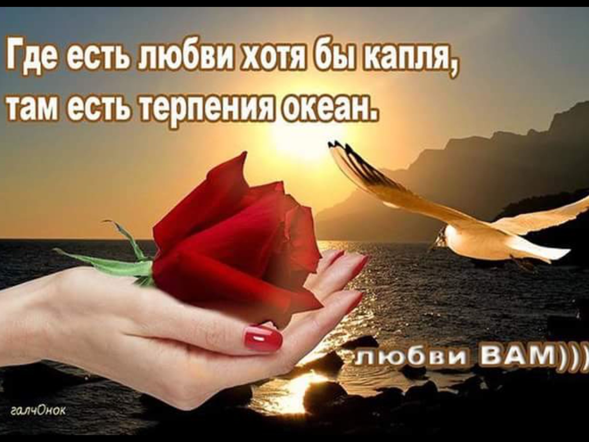 Где есть любовь там есть терпение