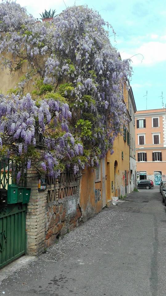 GiveYouHelpAP's tweet image. When i feel lost, i go outside and look for the beauty.
Luckly it's everywhere.
Working on

giveyouhelp.altervista.org