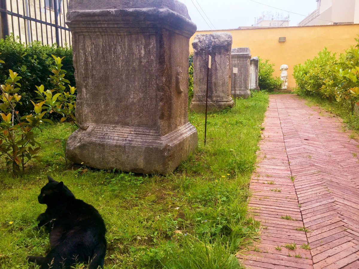 MuseoArcheoSA's tweet photo. Abbiamo fedeli visitatori felini che amano il museo e voi altri @PiccoliMusei2? #loveMW #MuseumWeek https://t.co/h992KnQQXP