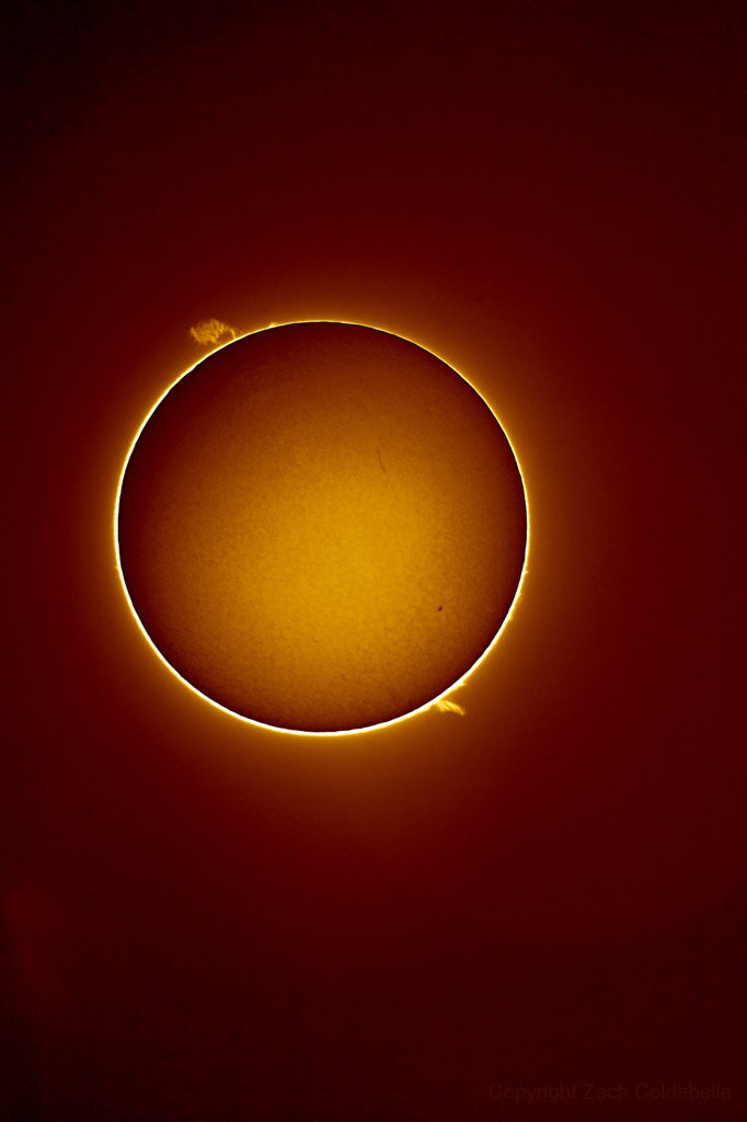 afrowhiteboyzac's tweet photo. The Sun in H-Alpha from yesterday.  Imaged through a PST. 

#astronomy #space https://t.co/kZ5yhKsM7C