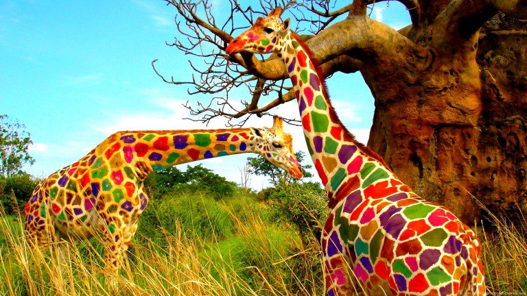 WallpapersLab's tweet image. Giraffe Colors Animal Wallpaper
wallpaperslab.com/giraffe-colors…