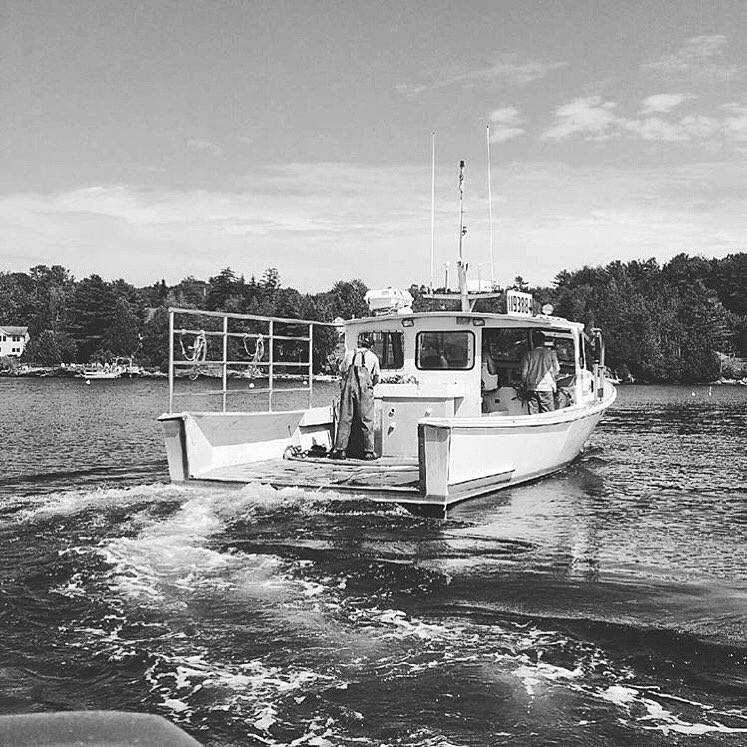 Cape Seafood LLC tweet media