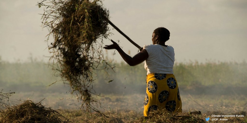 WorldBankGroup's tweet photo. Gender inequality in times of #climatechange is a matter of life and death https://t.co/KjJepMz5M3 https://t.co/nRQ4rB65tI