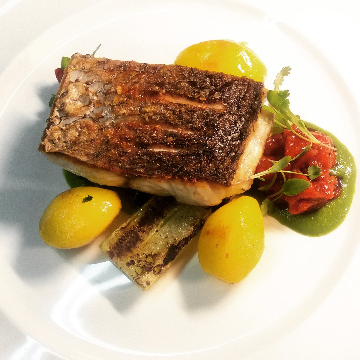 Kingwilliampub's tweet image. Lots of new dishes for you all to try on our April menu @TheBathMagazine @ThePigGuide  @BathFoodies #spring