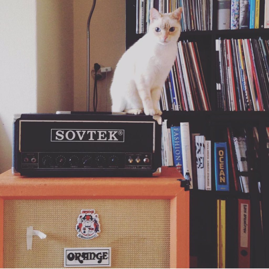catsonamps's tweet image. Good morning and happy Sunday! TY @casperrossing @sovtekamps @orangeamplifiers | #Sovtek #OrangeAmps #CatsOnAmps