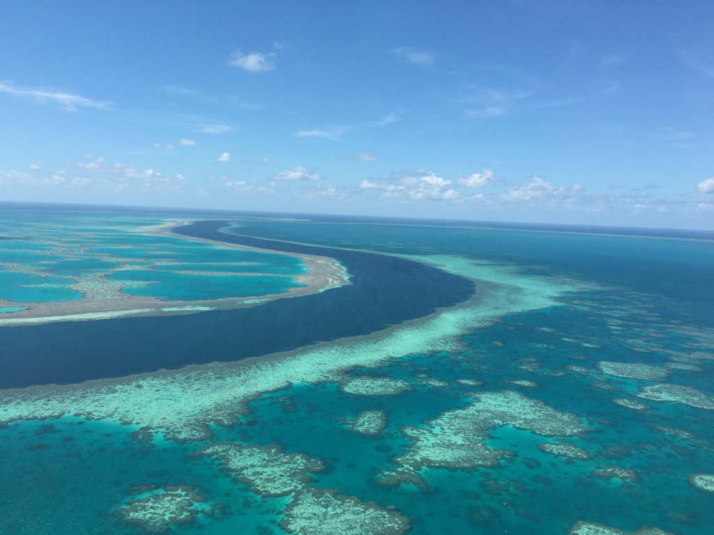 HELITAXIAU's tweet image. A river within a reef #GreatBarrierReef #lovewhitsundays #localsecrets #thisisqueensland #helitaxi #flyeatstayplay