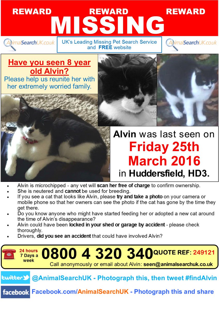 AnimalSearchUK's tweet photo. PLS RT @MORETHAN @Examiner @RSPCA_official #missingcat #huddersfield #hd3 #findalvin https://t.co/x7vLEbEkpx https://t.co/sRGJGaE89h