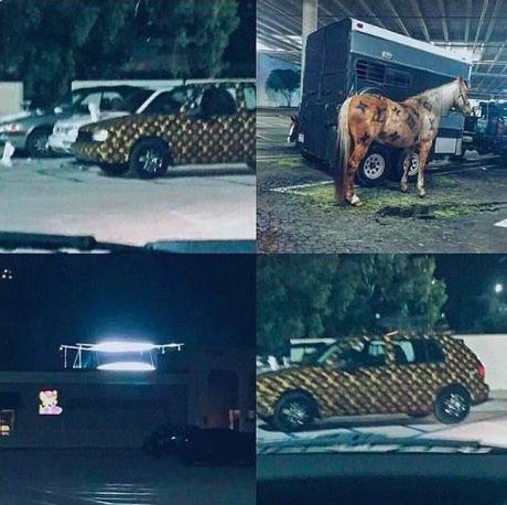 JamesJointANTI's tweet photo. Finally this images aren't from #work 
So where are these photos from? https://t.co/TLu7WcaN9u