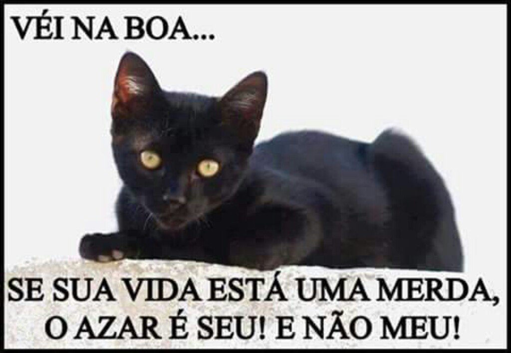 gregvictor3's tweet photo. Bom dia galera! !!
Que todos tenham um encantador domingo!!!!
#missãoBETA
#operaçãoBeta
#betaajudabeta https://t.co/MIiJsz2m7T