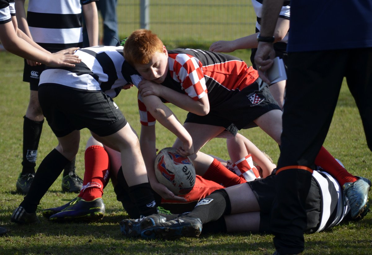 Petra Noordijke tweet media