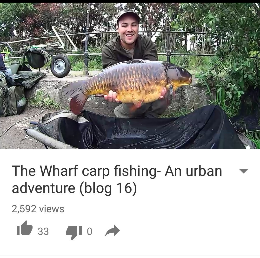 This video is getting a few views check it out on this link youtu.be/M0RFGrdnsU8 #carpfishing #carp #YouTube