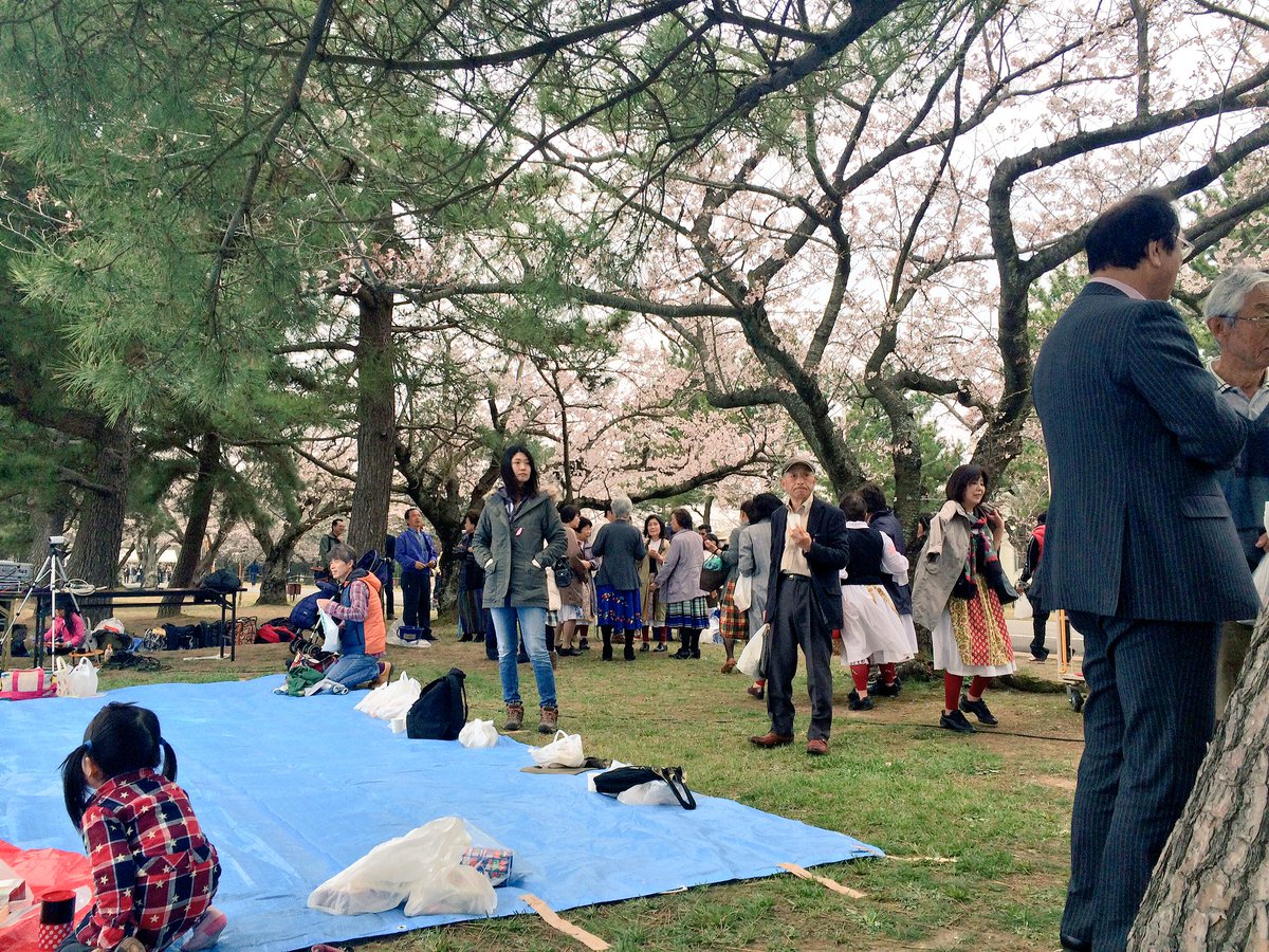 vise_francesco's tweet photo. Relaxing day out of the lab dancing and meeting new people #花見 #hanami #366PositiveDays #thinkPositiveChallenge https://t.co/hc9X9mZ6Ba