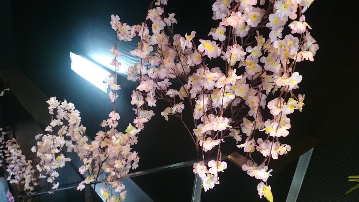 一ノ瀬杏樹卒業アカウント (@anju_graduation) / Posts / X