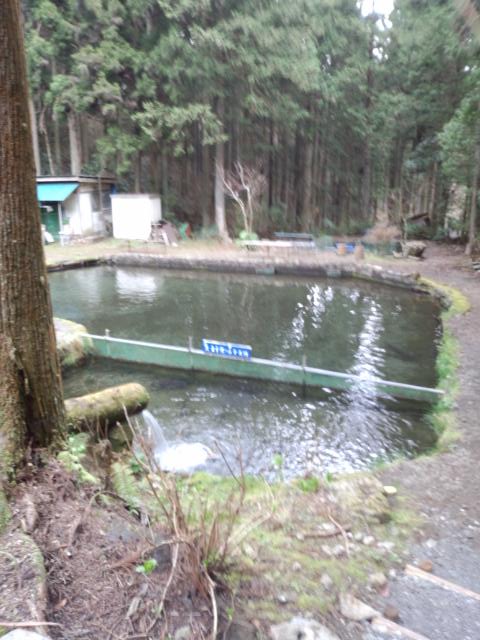 東京都内の釣り堀おすすめランキング12 初心者も子供も楽しめる場所から厳選 Kurashi No