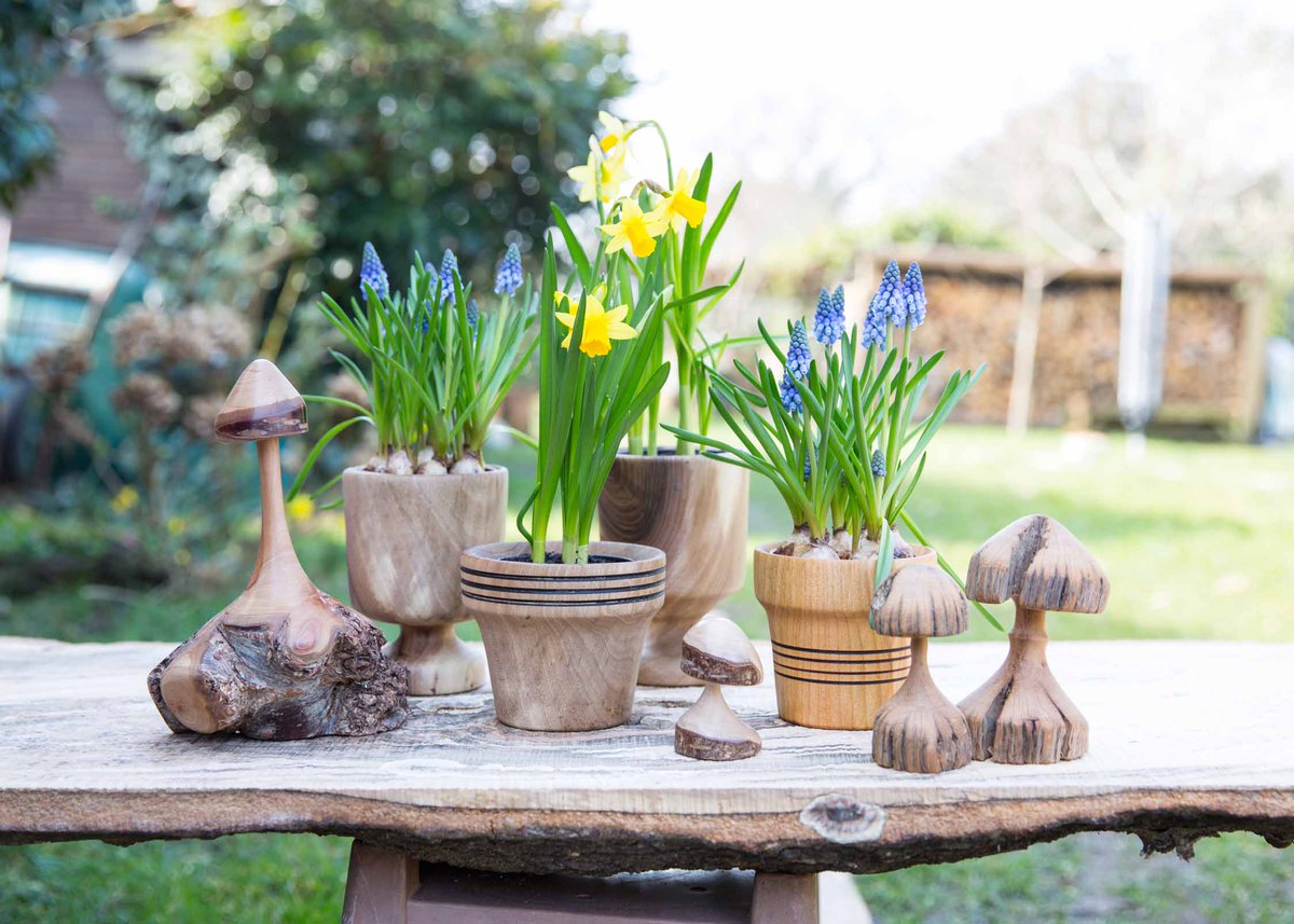 GGT_SWAY's tweet photo. Has Spring arrived ? https://t.co/OHV58kuONt