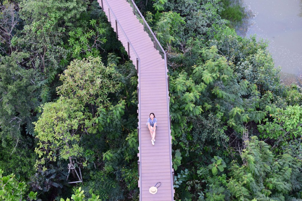 yuwadee_rukky's tweet photo. สูดโอโซนป่าในเมืองกรุง canopy walk  #โครงการป่าในเมือง #reviewbangkok #reviewthailand @MrVop 😄😄 https://t.co/BHrb4xtipq