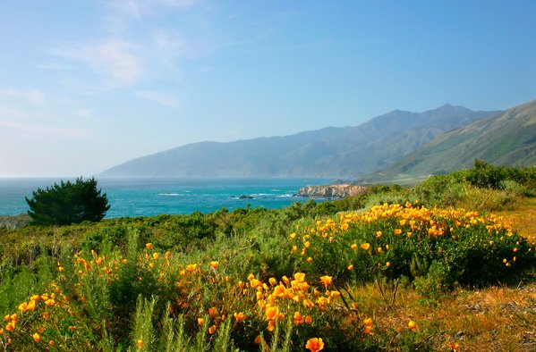 Most of our mental suffering comes from how tightly we hold our beliefs and thoughts. ow.ly/10dXJY