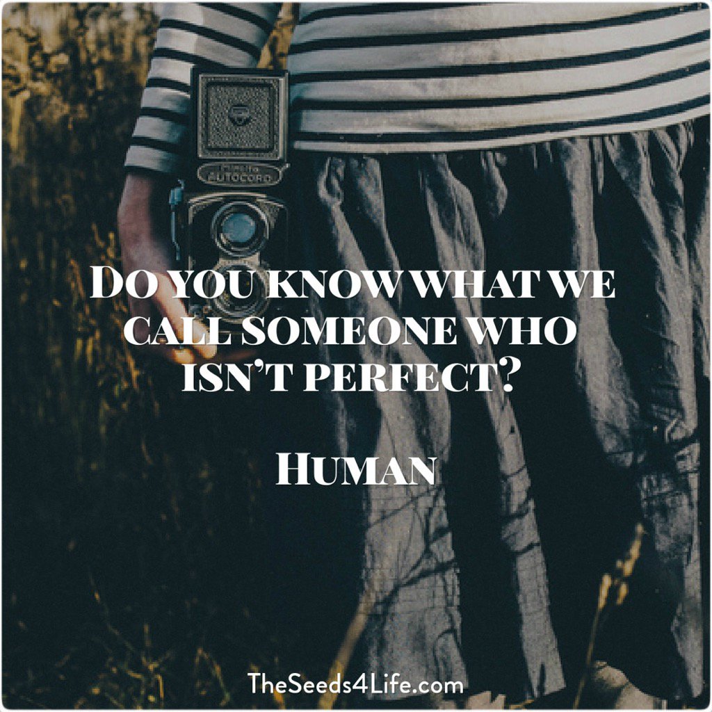 mostlyreverend's tweet image. 