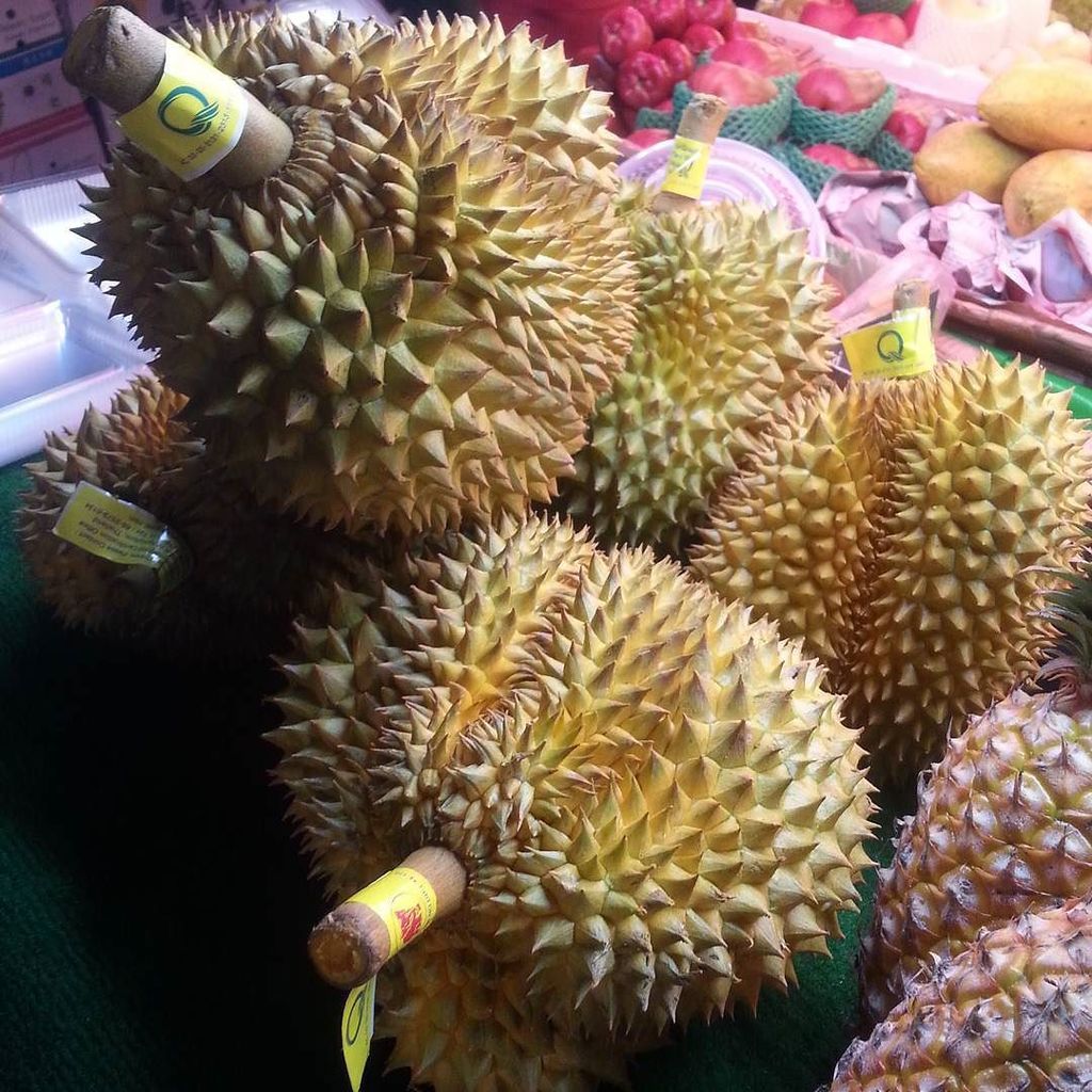 thefoodwolf's tweet photo. Durian fruit - an oddly stinky smelling fruit that has a smooth texture and delightfully melon like taste. #ningxi… https://t.co/K4nbxpiLtM