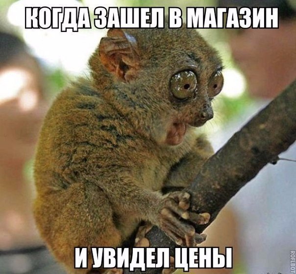 Postim › Беларусь (@postimby) on Twitter photo 