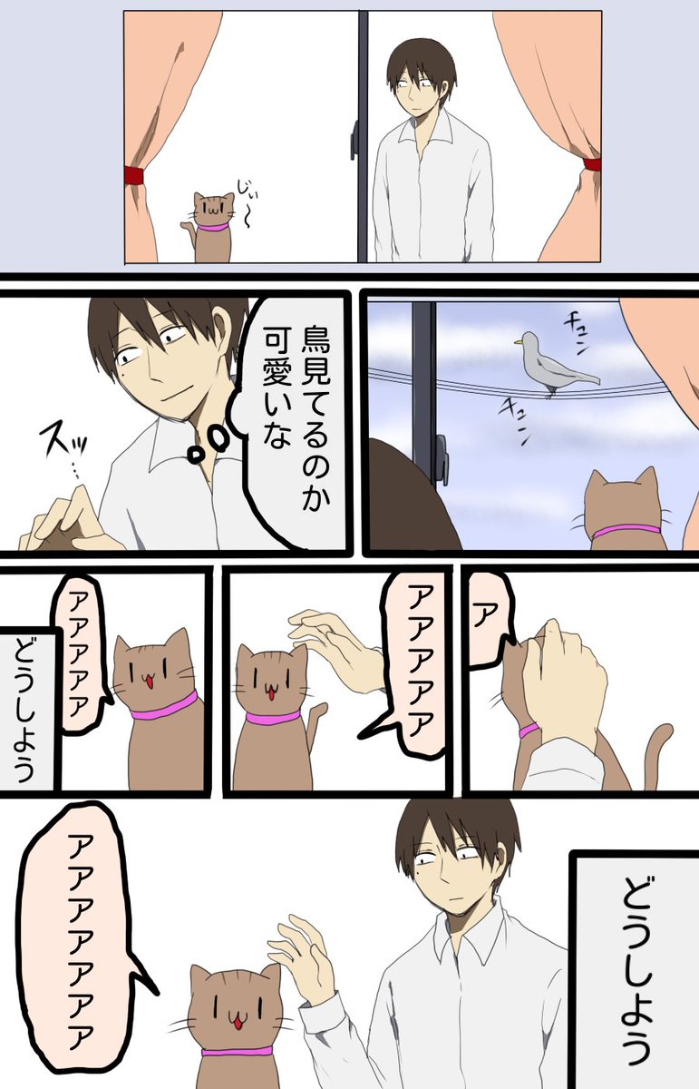 どうしよう（１分くらい続いた） 