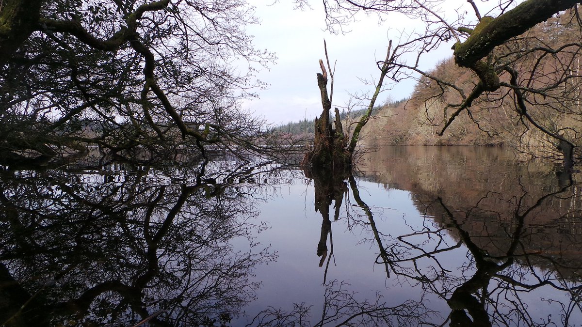 Reflections at Barean Loch nr Colvend D&amp;G today #dumfriesandgalloway