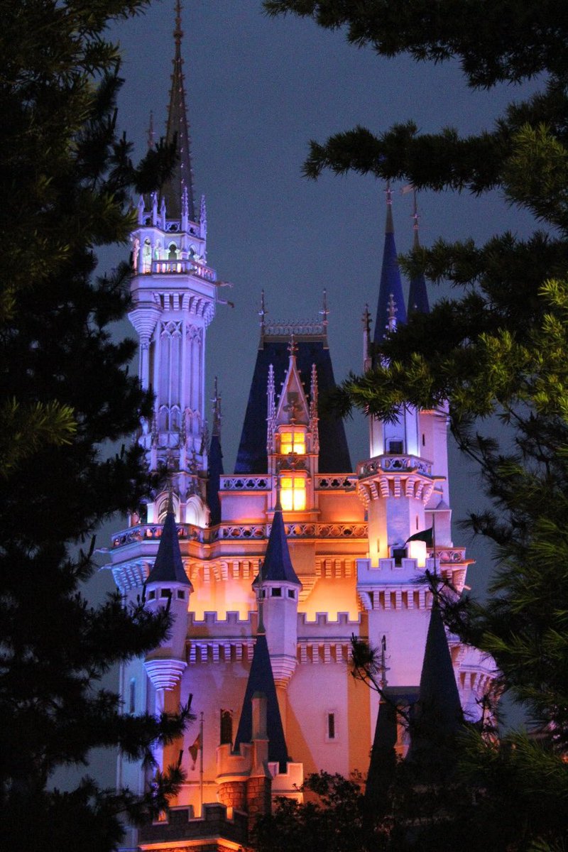 disney_213's tweet photo. 共通デビューしました！
仲良くしてください！
#Dオタさんと繋がりたい
#twitter上にいるDヲタ全員と繋がるのが密かな夢だったりするのでとりあえずこれを見たDヲタはrtもしくはフォローしていただけると全力でフォローしに行きます https://t.co/v2ega4qRb4