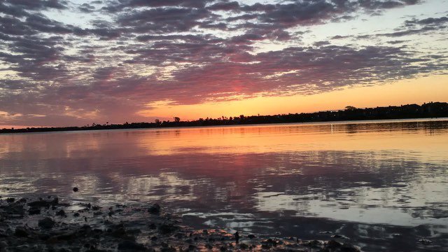 LifeAtWarpSpeed's tweet photo. Slept away my Saturday night but starting off my Sunday right with a sunrise. 🌤🎶 #firstlig… https://t.co/dBpv36zEFs https://t.co/IFd2H36MDd