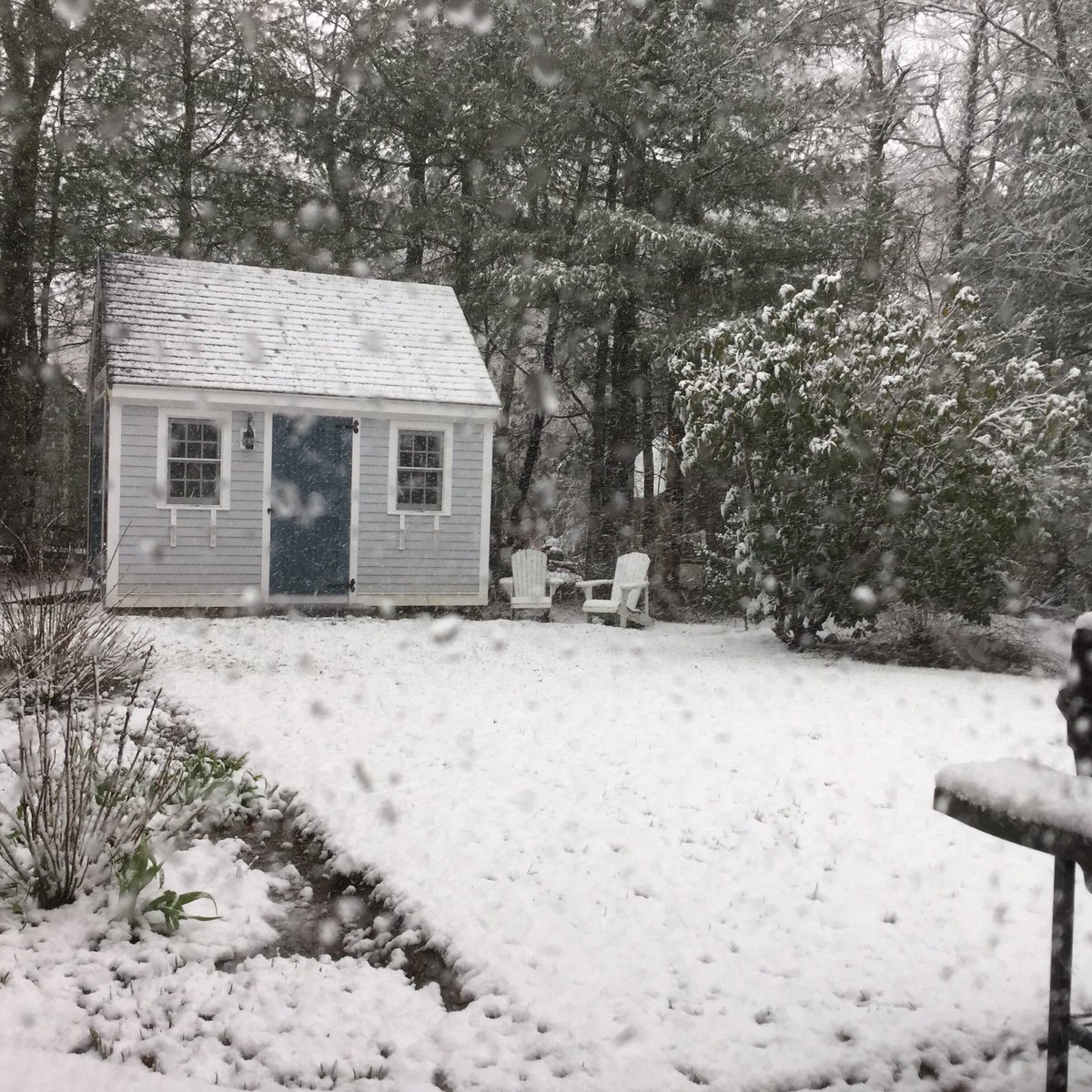 cape_codder's tweet image. @markfuller86 @mk_wigginton Right now! 😳#SpringOnCapeCod