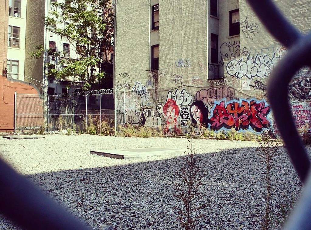 bikinibodyrules's tweet photo. NY trip numero dos ✌ 2010 #takemeback #love #ny #nyc #newyork #newyorkcity #travels #streetart #graffiti #photograp… https://t.co/oHxsiayag8