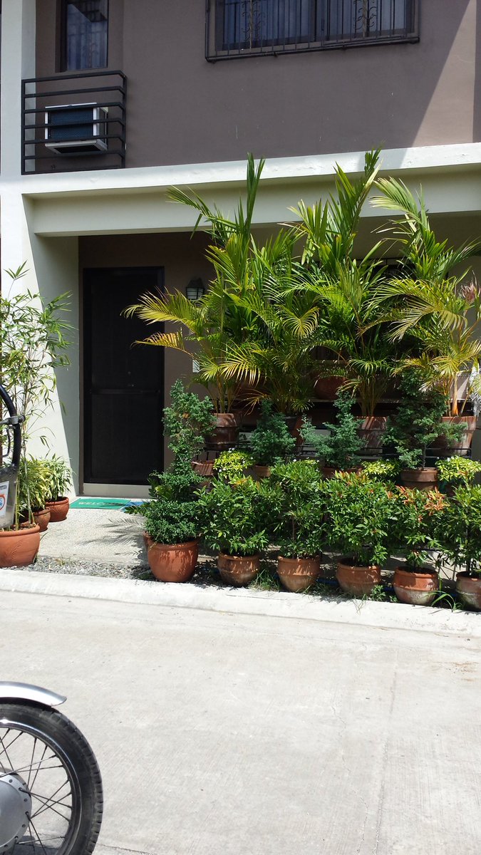 MiaPacheca's tweet image. 